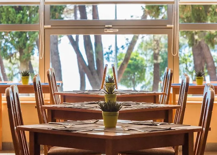 Sol Katoro Zambratija (Istria)